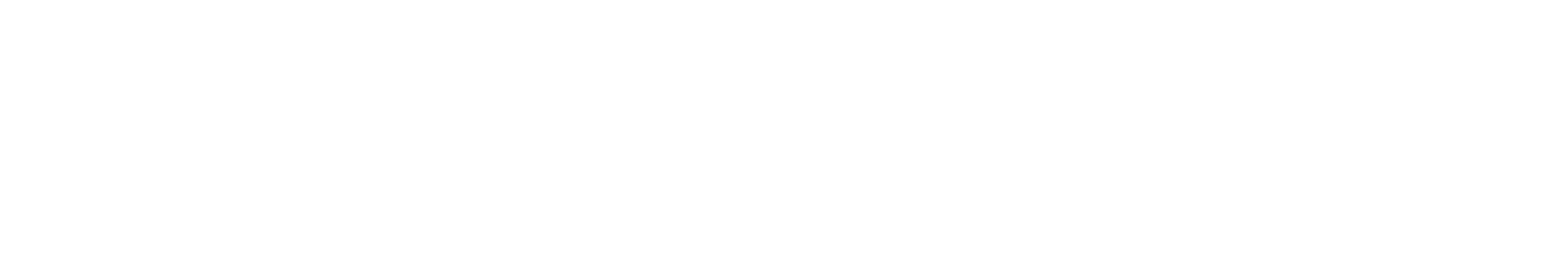 Logo_DWZweiss